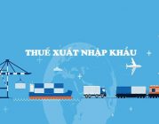 Tìm hiểu về thuế xuất nhập khẩu