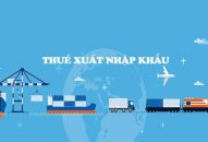 Tìm hiểu về thuế xuất nhập khẩu